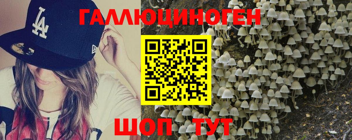 закладки  Псилоцибиновые грибы Psilocybe  Вход с VPN  Мирный 
