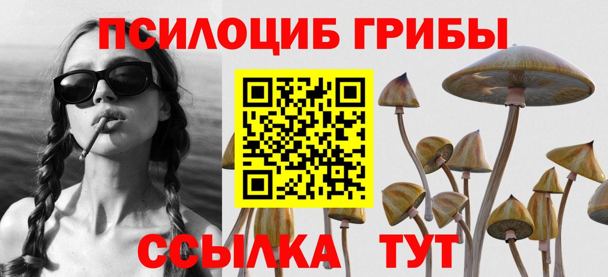 Псилоцибиновые грибы прущие грибы Мирный